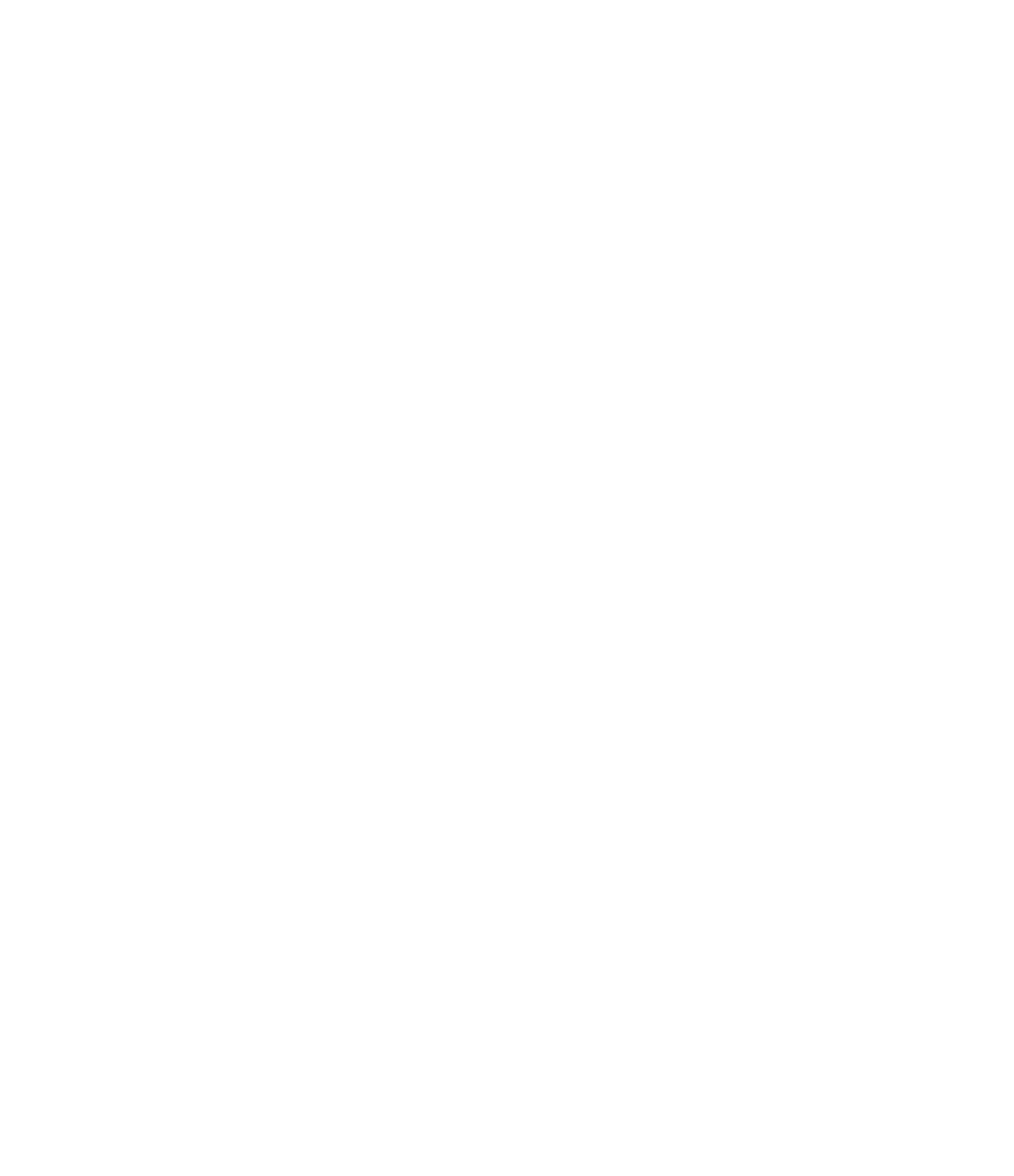 Apollo Logo (Light)