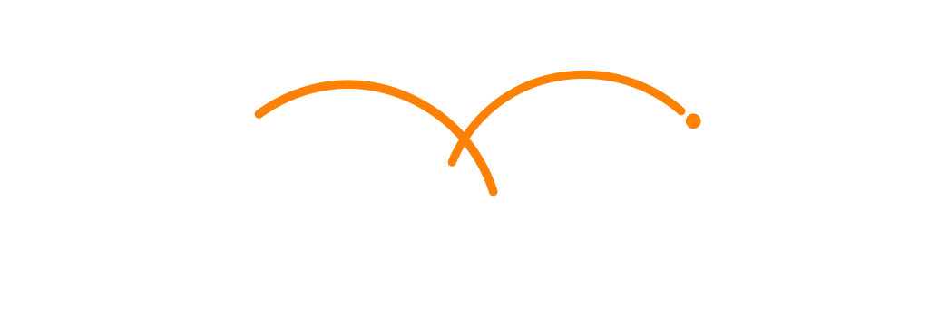 Cargo Chief Logo (Light)